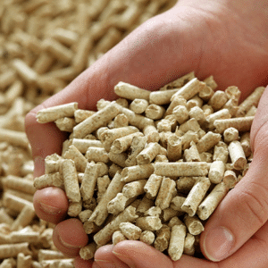 Wood pellets for bedding