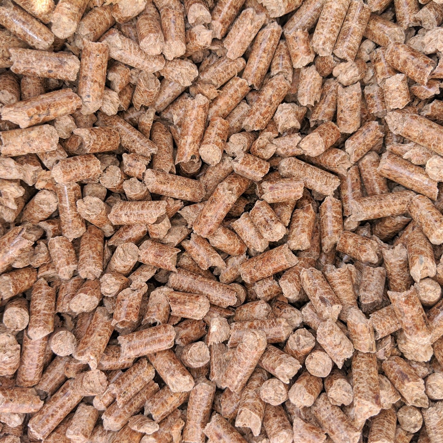 Wood pellets for litter